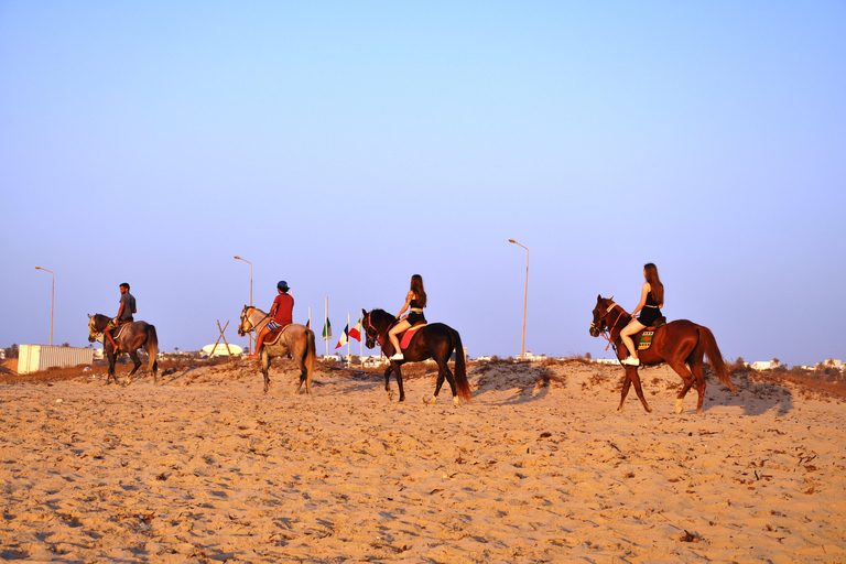 DJERBA : Paardrijden (2u).