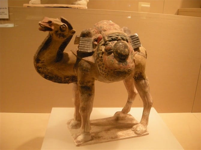 Tour privée du xi'an Terracotta Warriors and Horses Museum - Housity