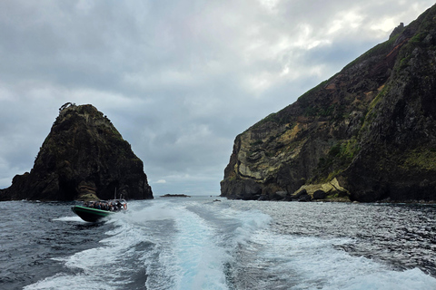 Trip to Vulcanic Corvo Island Including Island Sightseeing