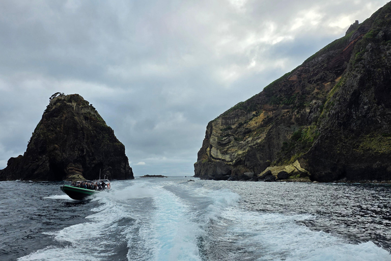 Trip to Vulcanic Corvo Island Including Island Sightseeing