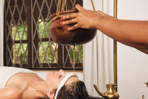 Bentota: Ayurveda-dagbehandeling en riviersafari door de mangrovenOphalen in Colombo en Negombo