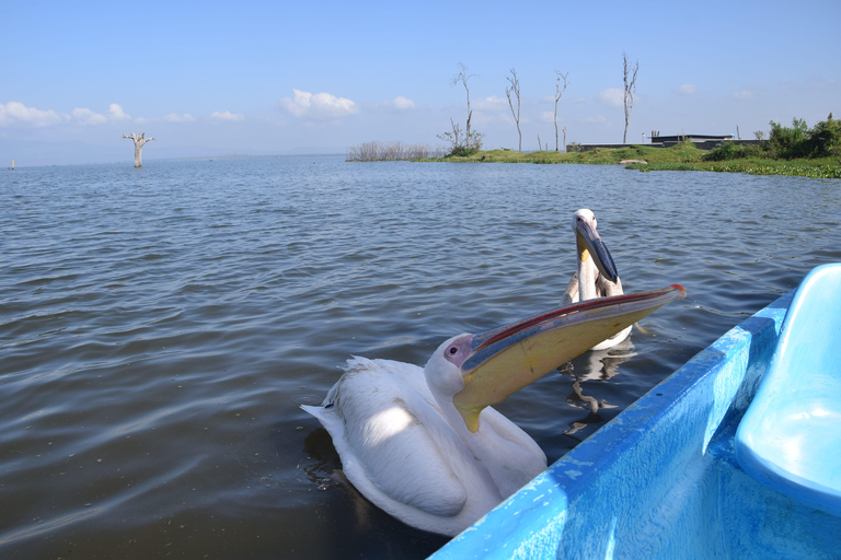 1-Day Crescent Island Walking Safari and Hell's Gate Biking Crescent Island Walking Safari (from Nairobi)