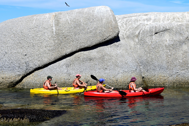 Cape Town: Guided Kayak Tour of Clifton Beaches & The Coast