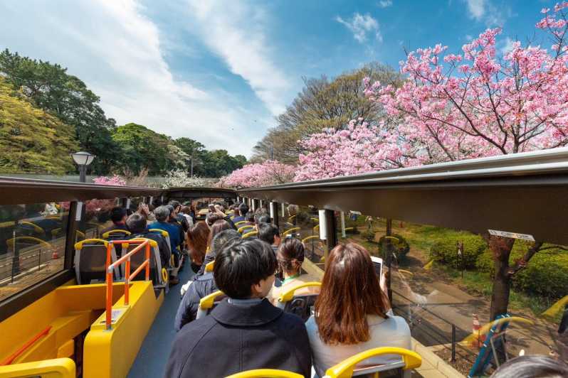 Tokio: Open Top Sightseeing Bus mit Audioguide