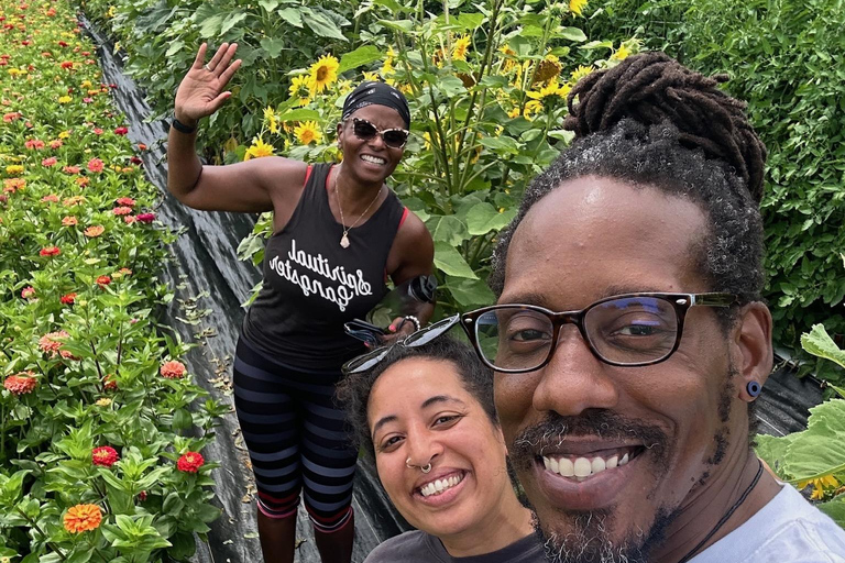 Hudson Valley: Mindful Art and Photography Walk