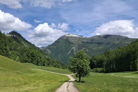 Bad Ischl: Jainzen summit crossing in Sisi's footsteps