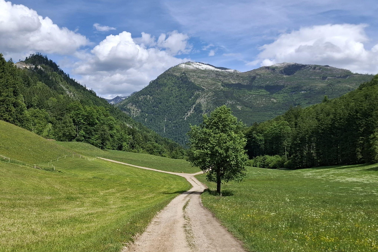 Bad Ischl: Jainzen summit crossing in Sisi's footsteps