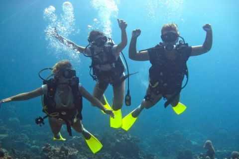 Borneo 3-Dive Scuba Diving Day Trip in Kota Kinabalu