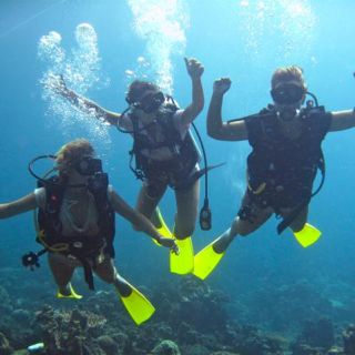 Escursione di un giorno di immersioni subacquee in 3-Borneo a Kota Kinabalu
