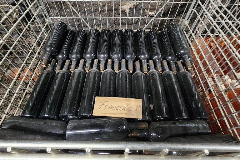 Loire Valley Wine Tour from Paris: 2 Wineries & 10 Tastings Premium Option
