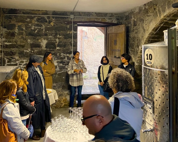 Cinque Terre: tasting in the cellar with visit to vineyards