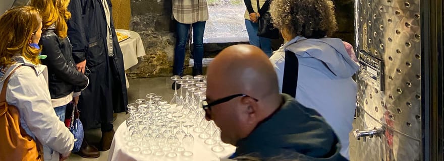 Cinque Terre : dégustation dans la cave et visite des vignobles