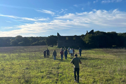 From Colonia: Trekking and Nature in Molino Artola with a Local Host