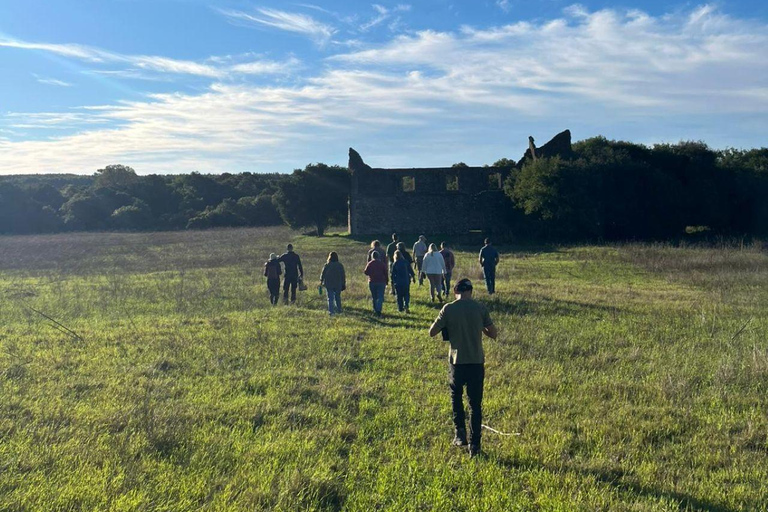 From Colonia: Trekking and Nature in Molino Artola with a Local Host