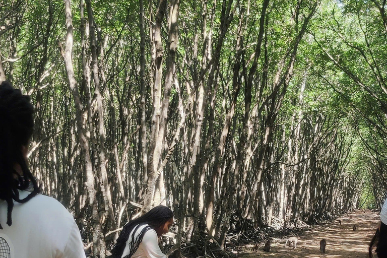 CAN GIO MANGROVE FOREST - MONKEY ISLAND FULL DAY GROUP TOUR