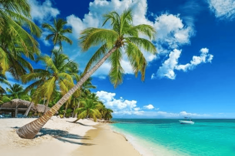 From Punta Cana: Saona Island Day Trip with Lunch & Drinks