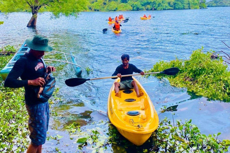 3-Day Mahiyanganaya Wildlife, Waterfalls, Culture, Yala Drop