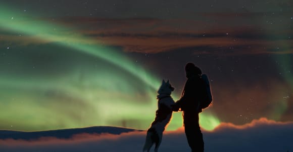 Saariselkä: Husky Safari with Aurora Borealis Hunt 5km