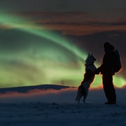 Saariselkä: Husky Safari with Aurora Borealis Hunt 5km