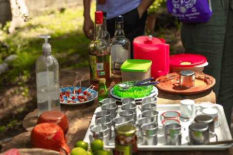 Teotihuacan: History, Culture and Pulque Tasting Bike Tour Private Tour