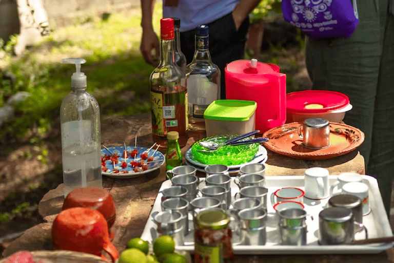 Teotihuacan: History, Culture and Pulque Tasting Bike Tour Private Tour