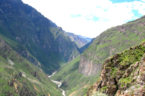 Tour panoramico del Canyon del Colca di 2 giorni con arrivo a Puno Hotel***Tour panoramico del Canyon del Colca di 2 giorni con arrivo a PunoHotel***