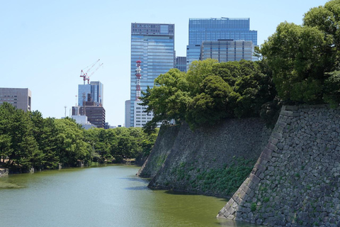 Tokyo: Edo Castle and Imperial Palace Guided Walking Tour Japanese guide