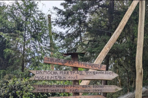 Addis Ababa: Menagesha Suba Forest Park Day Trip
