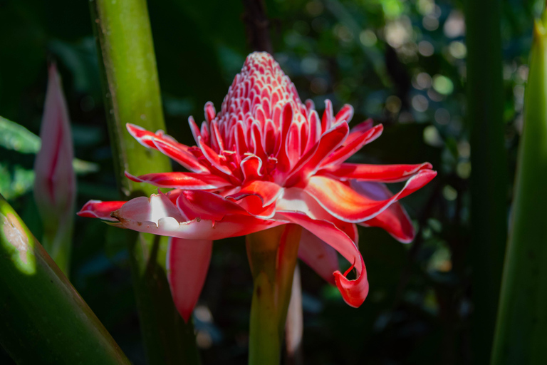 Manu National Park: Nature, culture, birds, and mammals – Full Day