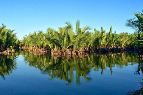 Buffalo Riding, Basket Boat and Cooking Class: Hoian/Da Nang From Hoi An