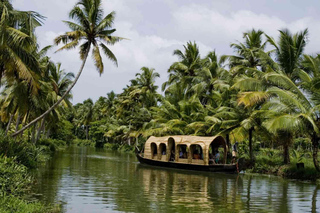 Multi-day Tours and Trips from Alappuzha