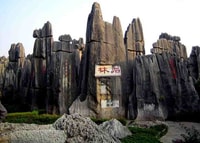Kunming, Stone Forest Private Day Tour - Housity