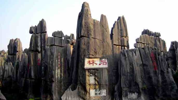 kunming tour privado de un día en el bosque de piedra