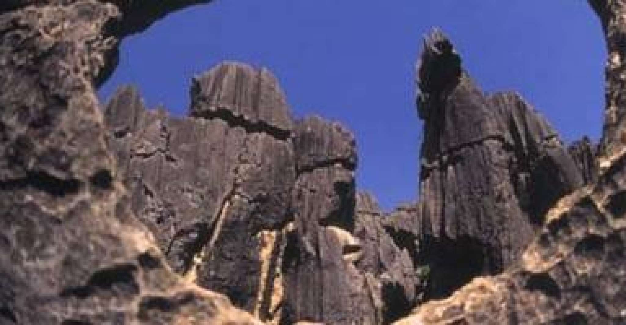 Kunming, Stone Forest Private Day Tour - Housity