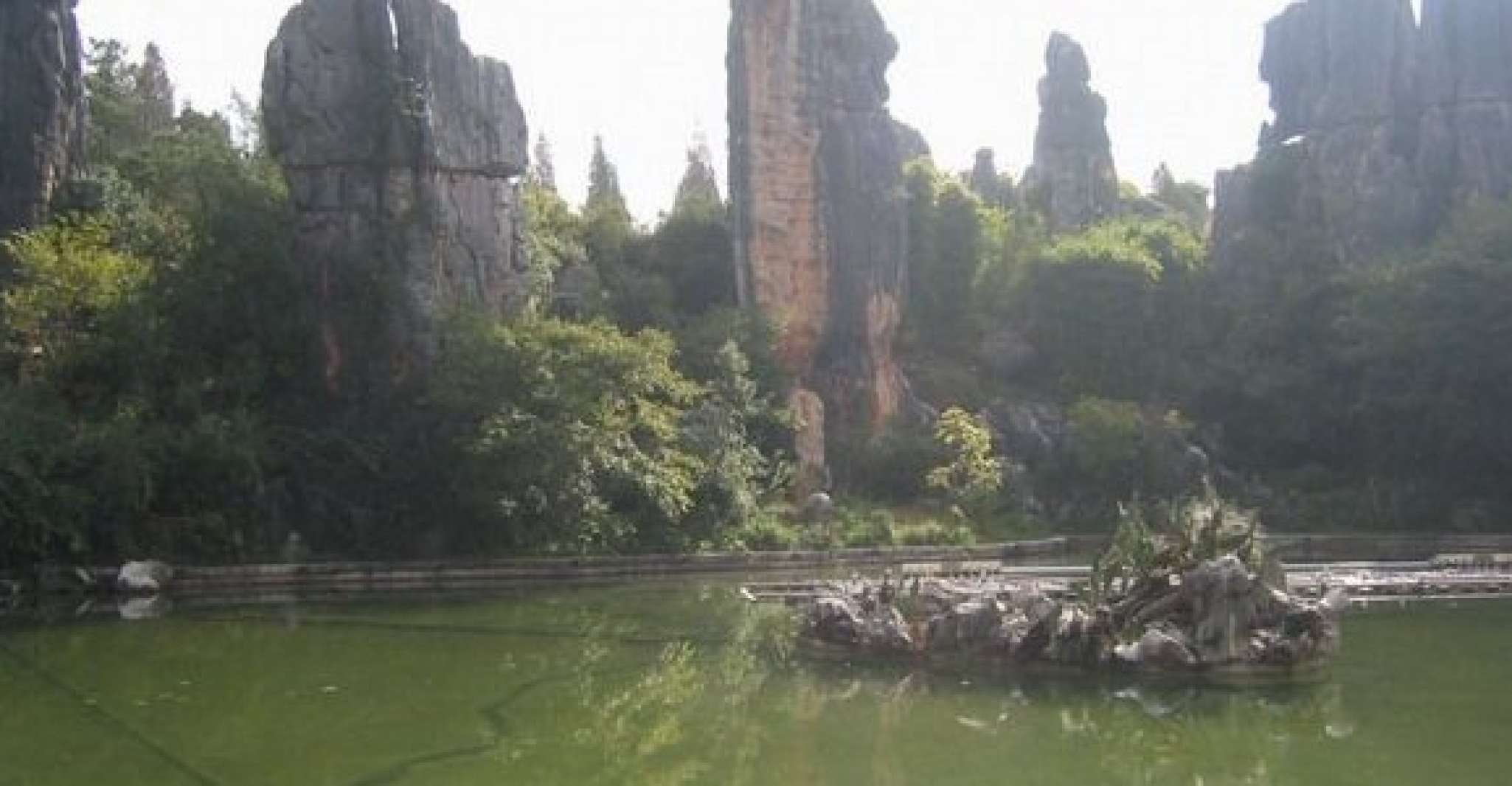 Kunming, Stone Forest Private Day Tour - Housity