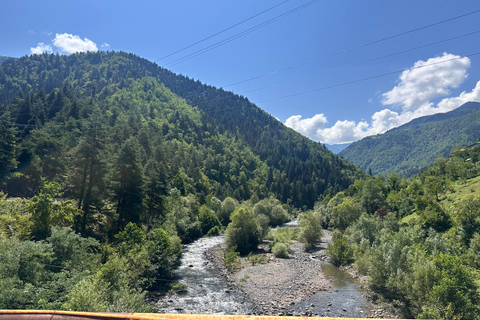 Vanuit Batumi: wijnproeverij met eigen vervoer in het bergachtige AdjaraVanuit Batumi: zelf rijden en wijn proeven in het bergachtige Adjara