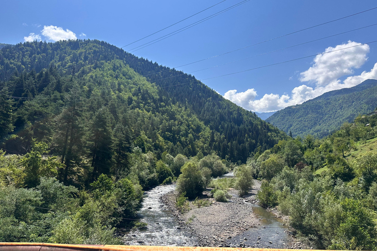 Vanuit Batumi: wijnproeverij met eigen vervoer in het bergachtige AdjaraVanuit Batumi: zelf rijden en wijn proeven in het bergachtige Adjara