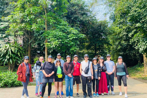 Phong Nha National Park: Paradise Cave Half-Day Tour Pickup in Hue and drop-off in Phong Nha