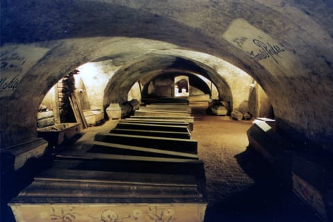 Vienna: 1.5-Hour Underground Walking Tour