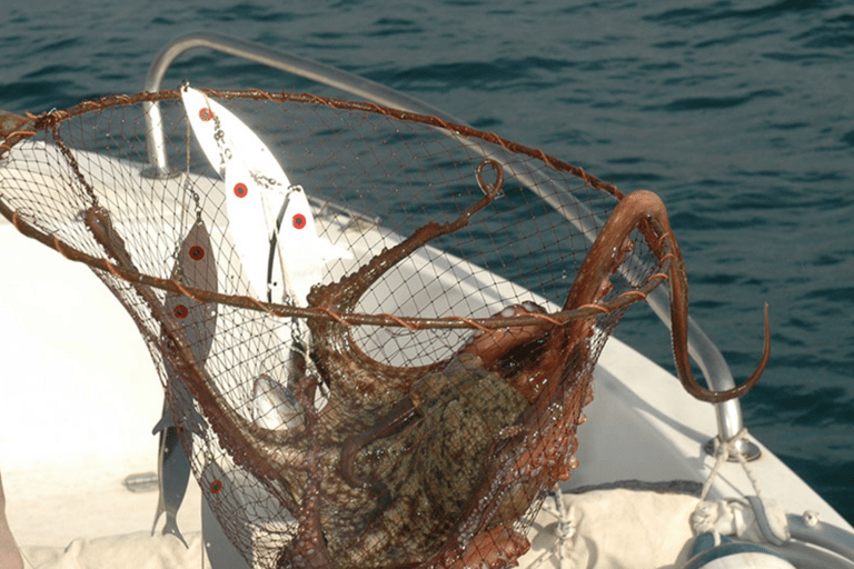 Rhodos: 4 uur durende privéboottocht met visuitrustingRhodes: Privéboottocht van 4 uur om te vissen, inclusief uitrusting