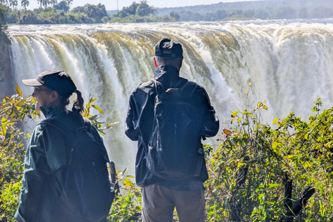 Victoria Falls: Guided Tour with Rainforest & Big Tree Full Heritage Experience: Falls, Rail & City