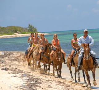 Horse Riding in George Town, Cayman Islands