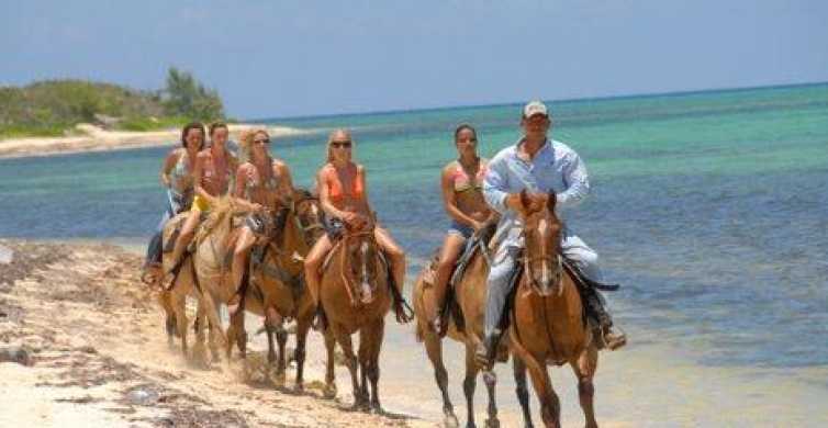 Horseback Beach Riding in the Grand Cayman