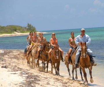 Horseback Beach Riding in the Grand Cayman
