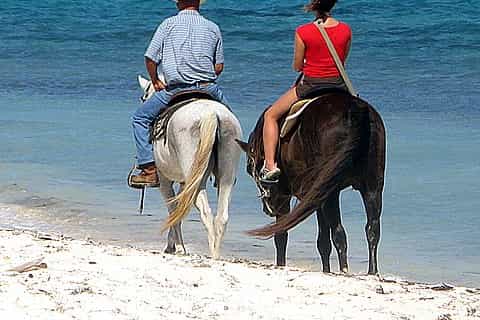 Equitação particular na praia a cavalo no Grand Cayman