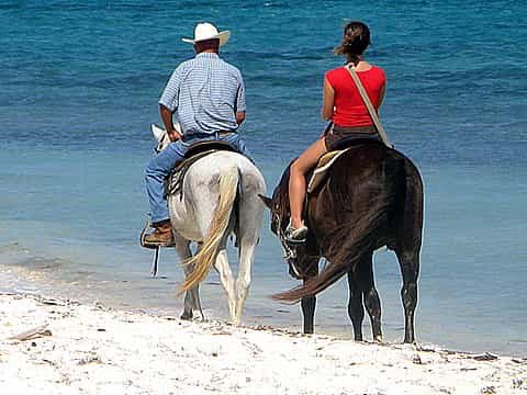 private horseback beach riding in the grand cayman