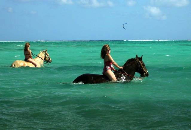 Visit Grand Cayman Private Ride 'n' Swim in Melaka, Malaysia