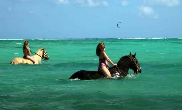 grand cayman private ride n swim