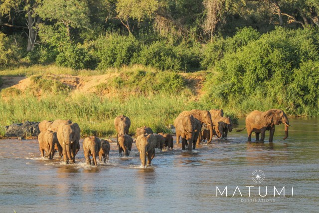 Visit Kruger Park Full Day Safari in Hoedspruit