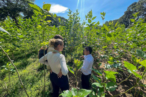 Siem Reap Nature & Cultural Safari Cycling Adventure